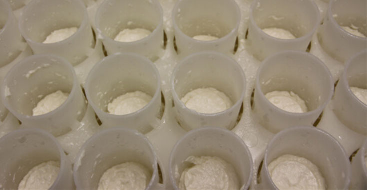 Comment fabriquer un bon fromage de chèvre ? | Soignon